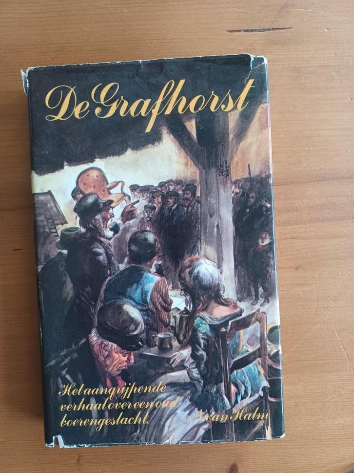 De Grafhorst, Boeken, Romans, Gelezen, Nederland, Ophalen of Verzenden