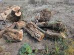 brandhout wilg, Tuin en Terras, Haardhout, Minder dan 3 m³, Ophalen, Overige houtsoorten, Stammen