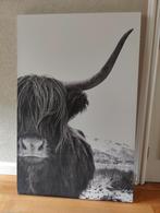 Grote canvas schotse hooglander, Huis en Inrichting, Ophalen, Zo goed als nieuw, Schilderij, 100 tot 125 cm
