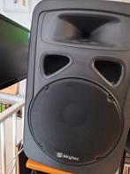 SKYTEC model 170.316, Audio, Tv en Foto, Luidsprekers, Ophalen, Zo goed als nieuw, 120 watt of meer, Overige merken