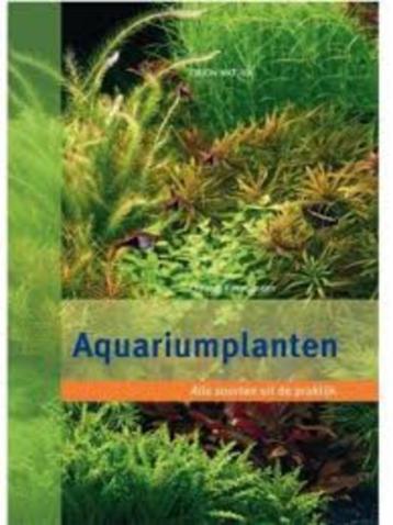 Aquariumplanten - Christel Kasselmann(Rek 3) beschikbaar voor biedingen