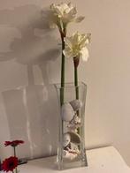 Glazen vaas met schelpen en bloem, Huis en Inrichting, Woonaccessoires | Vazen, Minder dan 50 cm, Glas, Gebruikt, Ophalen