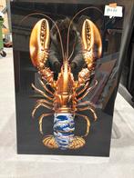 Plexiglas 60 x 90 cm, Ophalen of Verzenden, Zo goed als nieuw