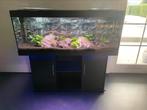 juwel 450 liter aquarium, Dieren en Toebehoren, Vissen | Aquaria en Toebehoren, Ophalen, Zo goed als nieuw, Leeg aquarium