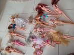 Barbie poppen en toebehoren  17,50€, Ophalen of Verzenden, Barbie