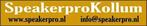 Luidsprekerreparatie - reconen - refoamen - SpeakerproKollum, Garantie