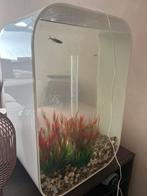 Biorb 60 liter + MRC verlichting, Dieren en Toebehoren, Ophalen of Verzenden, Zo goed als nieuw, Leeg aquarium