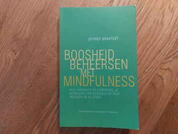 Jeffrey Brantley - Boosheid beheersen met mindfulness beschikbaar voor biedingen