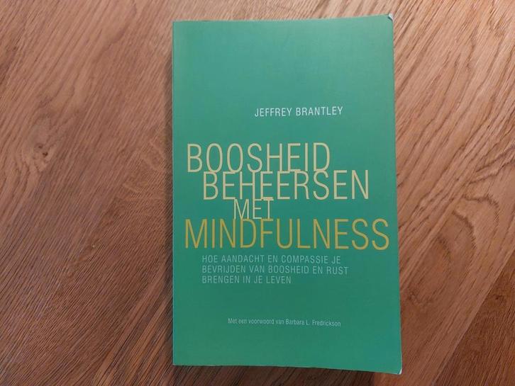 Jeffrey Brantley - Boosheid beheersen met mindfulness, Boeken, Psychologie, Zo goed als nieuw, Ophalen of Verzenden