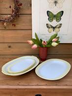 Vintage servies Petrus Regout servies, maastrichts aardewerk, Antiek en Kunst, Ophalen of Verzenden