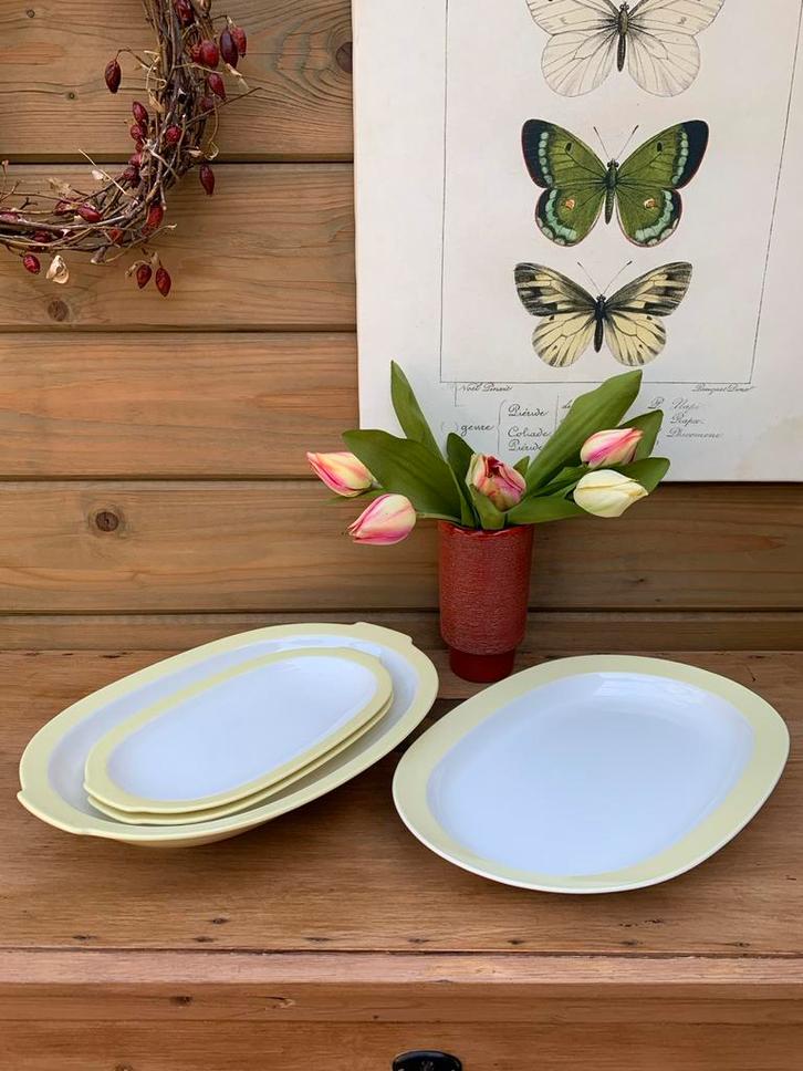 Vintage servies Petrus Regout servies, maastrichts aardewerk, Antiek en Kunst, Curiosa en Brocante, Ophalen of Verzenden