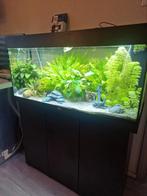 Juwel rio 180 compleet, Dieren en Toebehoren, Vissen | Aquaria en Toebehoren, Ophalen, Zo goed als nieuw, Gevuld zoetwateraquarium