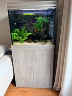 Aquatlantis fusion 70, Ophalen, Gebruikt, Leeg aquarium