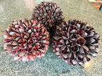 3 decoratieve ballen voor bloemstuk of droogstuk, 14cm, Ophalen of Verzenden, Zo goed als nieuw