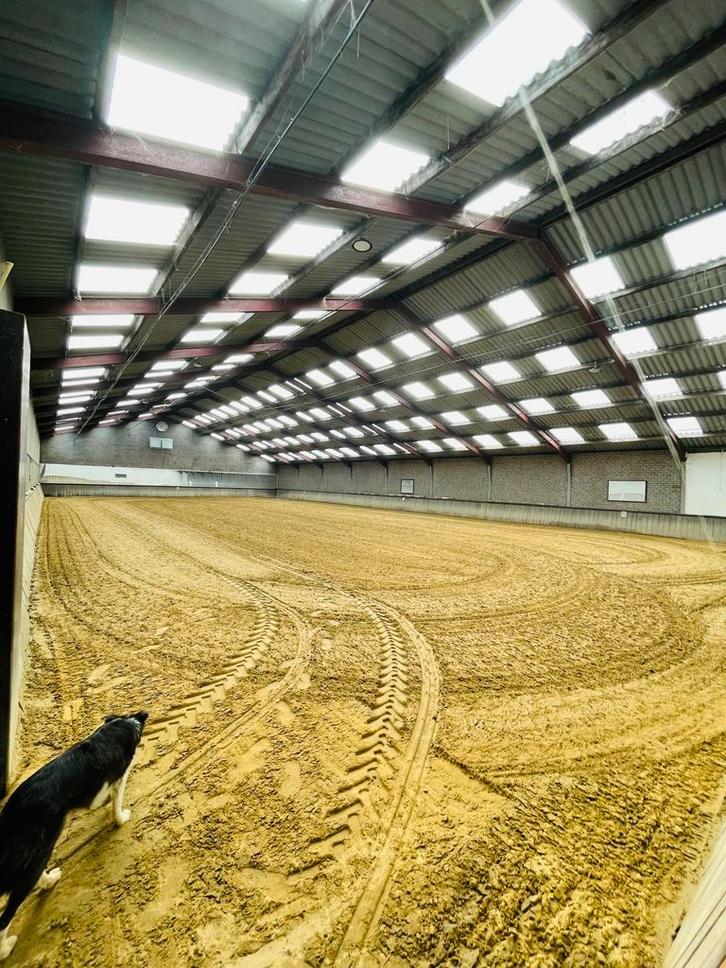 stalling aangeboden, Dieren en Toebehoren, Stalling en Weidegang, Stalling, 2 of 3 paarden of pony's