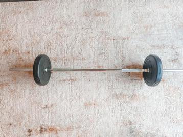Halterset – halterstang + 2x 10 kg gewichten beschikbaar voor biedingen