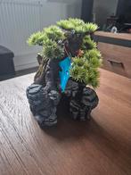 decoratie aquarium Hevis, Ophalen, Nieuw, Sierelement