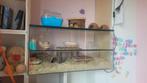 Hamster hok met accessoires, Dieren en Toebehoren, Knaagdieren en Konijnen | Hokken en Kooien, Gebruikt, Hok, Hamster, 75 tot 110 cm