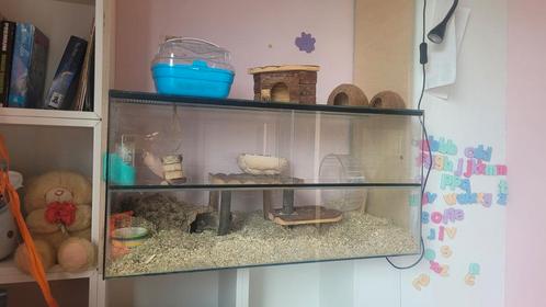 Hamster hok met accessoires, Dieren en Toebehoren, Knaagdieren en Konijnen | Hokken en Kooien, Gebruikt, Hok, Minder dan 60 cm