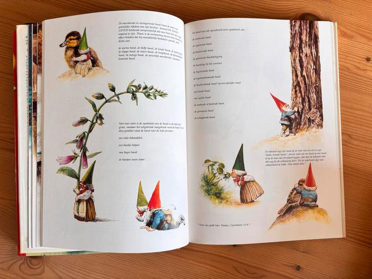 2 x De Oproep der Kabouters - Geïllustreerd Sprookjesboek, Boeken, Kinderboeken | Jeugd | onder 10 jaar, Zo goed als nieuw, Sprookjes