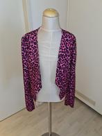 mooi jasje maat 158  (k5, Ophalen of Verzenden, Zo goed als nieuw, Meisje, Jas