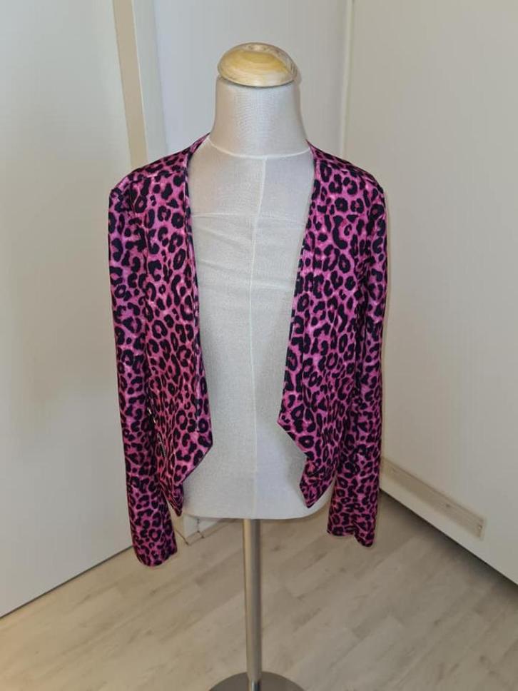 mooi jasje maat 158  (k5, Kinderen en Baby's, Kinderkleding | Maat 158, Zo goed als nieuw, Meisje, Jas, Ophalen of Verzenden