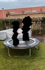 Trampoline te koop, Ophalen of Verzenden, Gebruikt