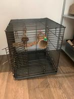 Stevige reiskooi voor papegaai, Ophalen, Metaal, Vogelkooi