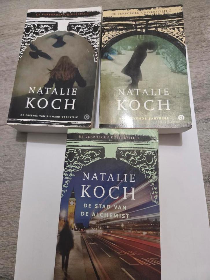 Natalie Koch - De Verborgen Universiteit Trilogie, Boeken, Fantasy, Zo goed als nieuw, Ophalen of Verzenden
