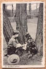 Ansicht Padvinder Hond Setter Scouting Venlo Katholiek, Ophalen of Verzenden, 1940 tot 1960, Ongelopen, Hond of Kat