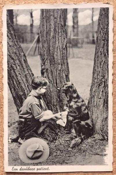 Ansicht Padvinder Hond Setter Scouting Venlo Katholiek, Verzamelen, Ansichtkaarten | Dieren, Ongelopen, 1940 tot 1960, Hond of Kat