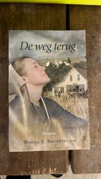 W. Brunstetter - De weg terug, Boeken, Ophalen of Verzenden, Zo goed als nieuw, W. Brunstetter