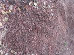 Grind, gratis afhalen, Tuin en Terras, Grind, Keien en Split, Ophalen, Overige materialen, Gebruikt, Grind