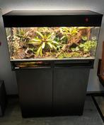 Mooi ingericht paludarium, Dieren en Toebehoren, Ophalen, Zo goed als nieuw, Terrarium of Paludarium