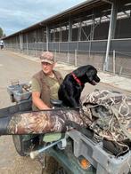 LABRADOR PUPS ENGELSE FIELD TRAIL  LIJN, Labrador retriever, Meerdere, Meerdere dieren, Nederland