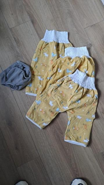 Broekjes zindelijkheid beschikbaar voor biedingen