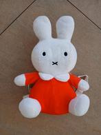 NIJNTJE rugzakje, Kinderen en Baby's, Speelgoed | Knuffels en Pluche, Ophalen, Zo goed als nieuw, Konijn
