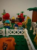 Duplo Dierentuin Set - Compleet!, Ophalen of Verzenden, Zo goed als nieuw, Complete set, Duplo