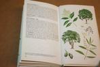 Elseviers nieuwe bomengids | Beschrijvingen boomsoorten, Boeken, Natuur, Ophalen of Verzenden, Gelezen