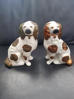 Hoerenhondjes te koop, Ophalen of Verzenden, Zo goed als nieuw, Dier