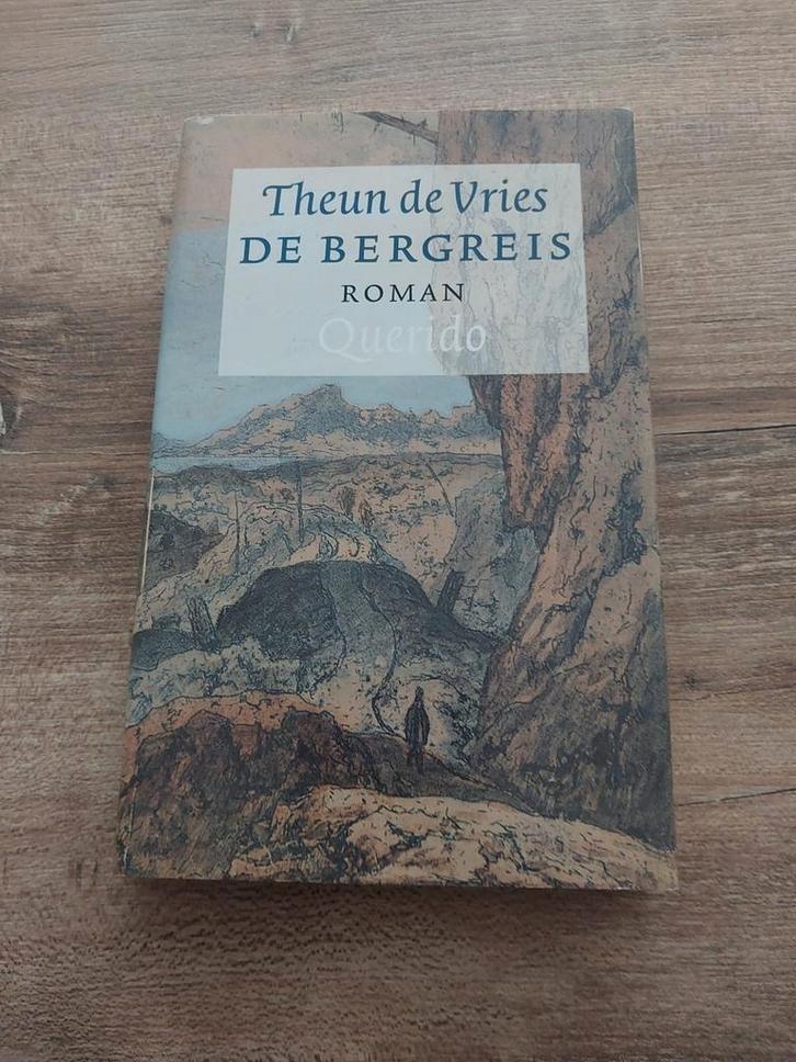 De Bergreis - Theun de Vries, Boeken, Romans, Gelezen, Nederland, Ophalen of Verzenden