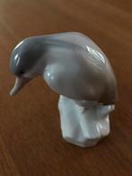 IJsvogel, Ophalen of Verzenden, Zo goed als nieuw, Dier