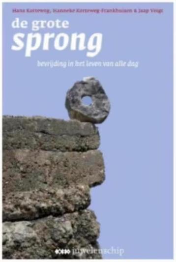 De grote sprong (bevrijding in het leven van alledag) beschikbaar voor biedingen
