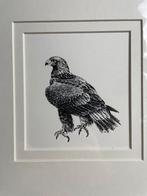 Roofvogel, pentekening door Harmen Kooistra, Antiek en Kunst, Ophalen of Verzenden
