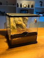 Exo terra Terrarium, Dieren en Toebehoren, Ophalen of Verzenden, Zo goed als nieuw