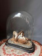 Antieke rechthoekige stolp, Ophalen of Verzenden, Zo goed als nieuw