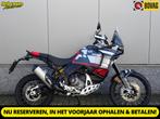 Ducati DESERT X (bj 2023), 950 cc, Bedrijf, Toermotor