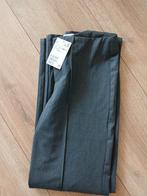 Nieuwe broek h&m maat 146, Ophalen of Verzenden, Zo goed als nieuw, Meisje, Broek