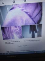 prachtige paarse avond ochtend duster knie lengte, Ophalen of Verzenden, Zo goed als nieuw, Maat 38/40 (M)