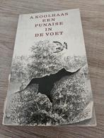 Een punaise in de voet - A. Koolhaas, Ophalen of Verzenden, Gelezen, A. Koolhaas, Nederland